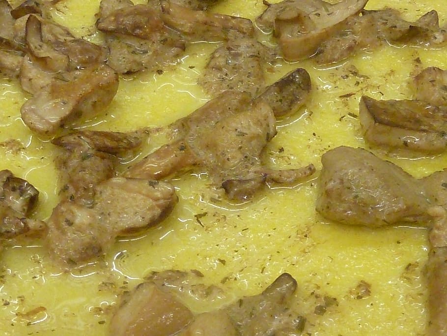 polenta, flour, mushrooms, food and drink, full frame, freshness HD wallpaper