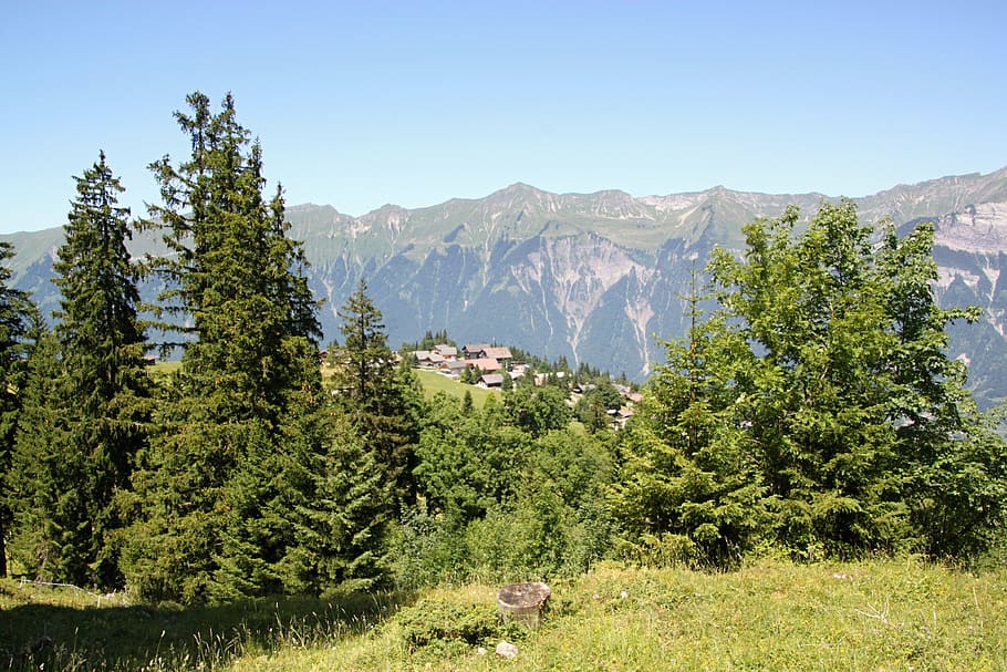 axalp, alpine, pasture, mountains, summer, landscape, mountain meadows HD wallpaper