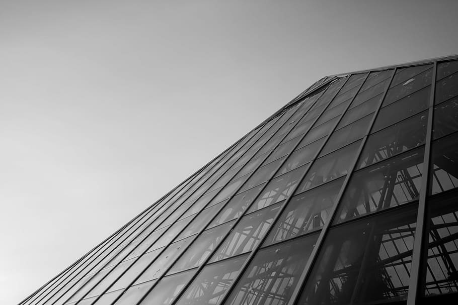 grayscale photography of curtain wall building, clear, glass, HD wallpaper