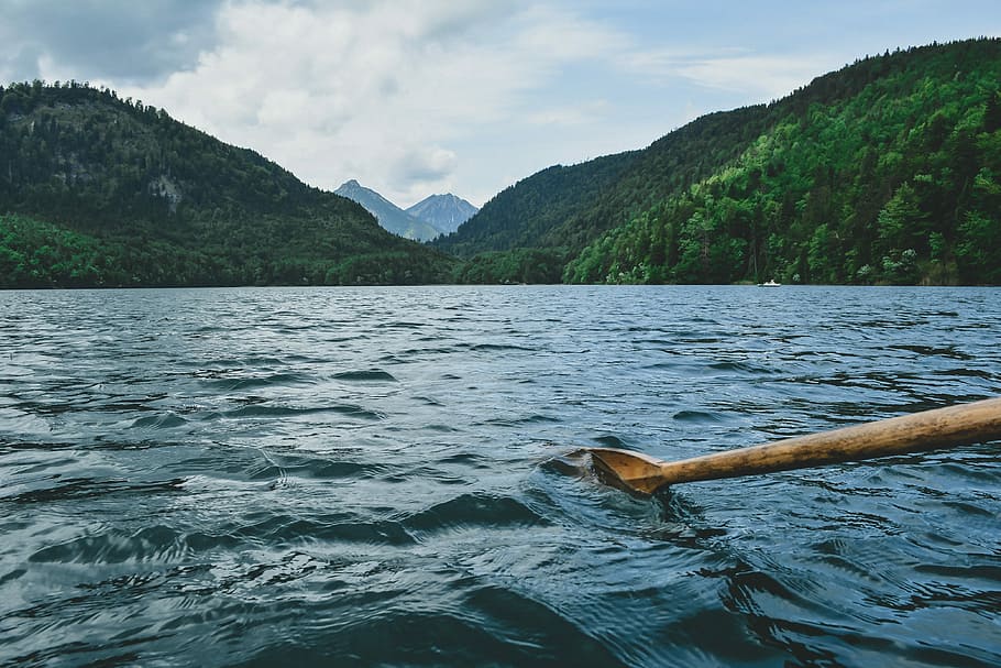brown paddle, brown oar paddling on ocean in front of green island HD wallpaper