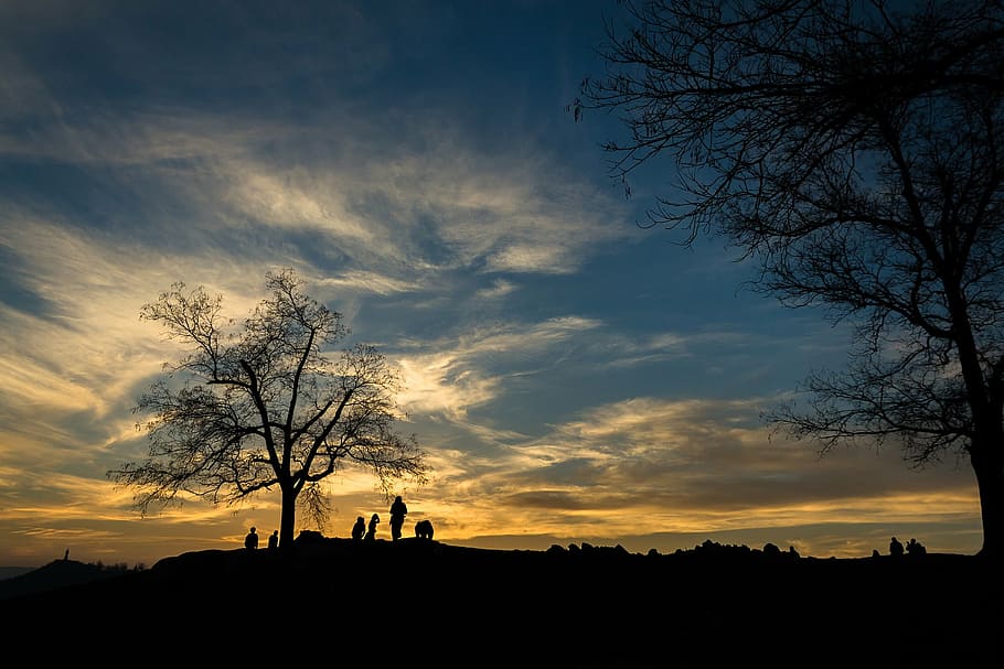 silhouette of tree under blue sky, photo, sunset, mountain HD wallpaper