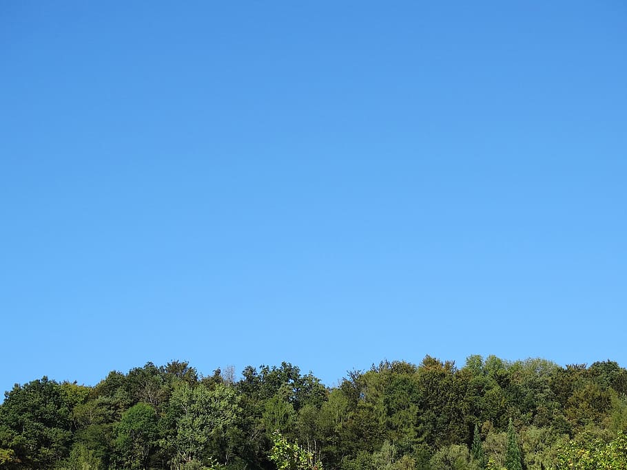 horizon, forest horizons, background, green, blue, blue sky HD wallpaper