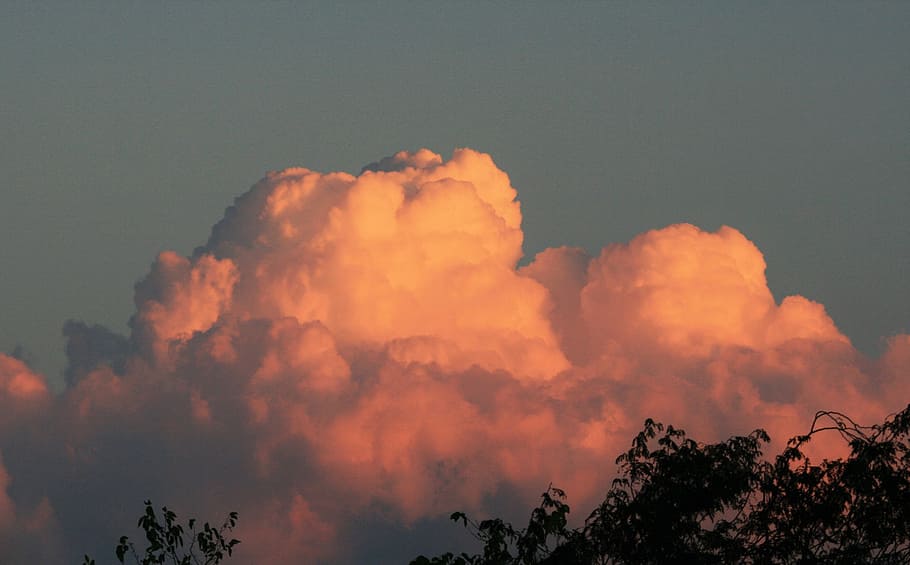 cumulus cloud, pink, large, majestic, sunset, glow, sky, cloud - sky HD wallpaper