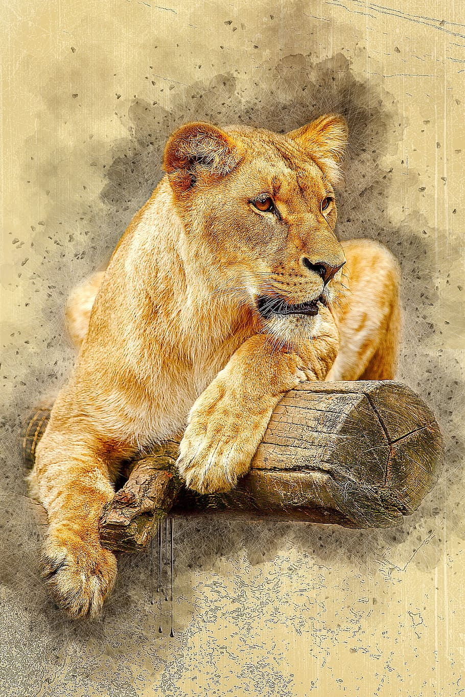 illustration of brown lioness lying on brown log, africa, animal, HD wallpaper