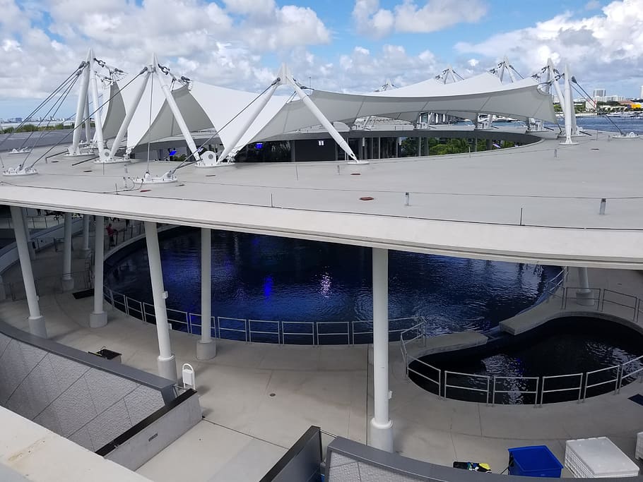 miami, frost science museum, aquarium, cloud - sky, architecture, HD wallpaper