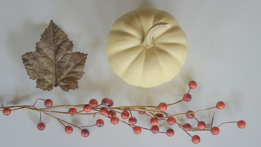 fall, leaf, pumpkin, white pumpkin, gourds, still life, from above HD wallpaper