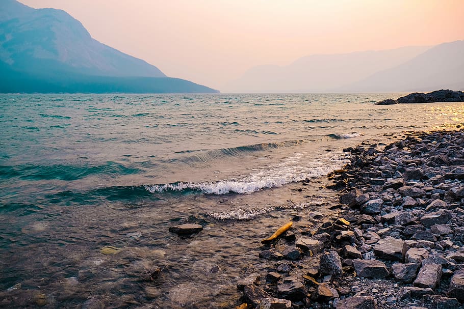 gray stones near seashore, assorted rocks near sea at daytime HD wallpaper