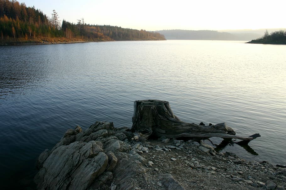 Dam, Lake, Stump, Harta, slezská harta, water, tranquility, HD wallpaper