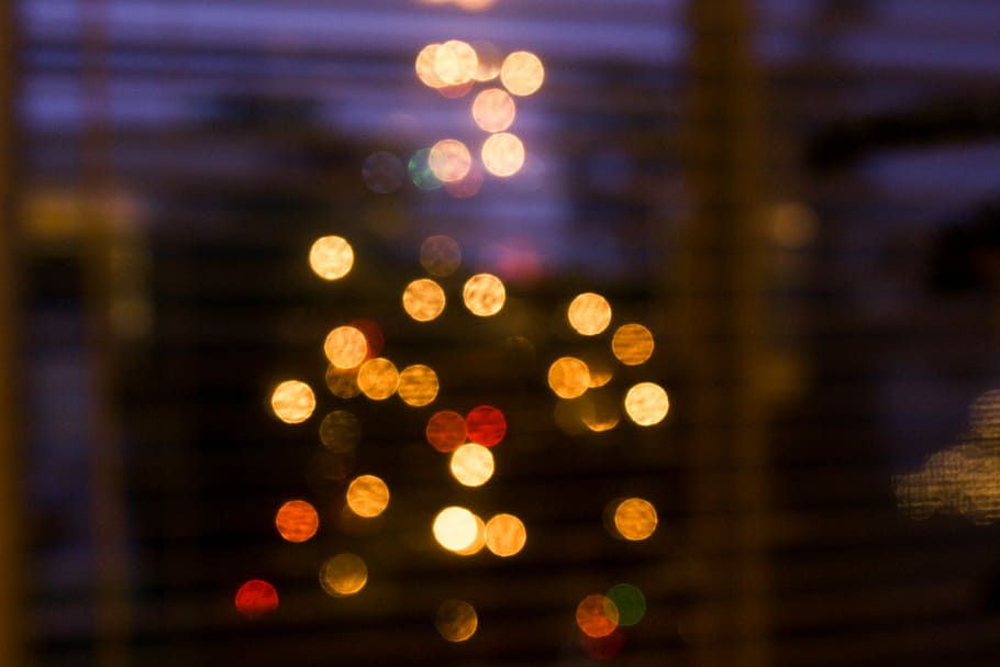 bokeh lights photography, bokeh lights, tree, christmas tree HD wallpaper