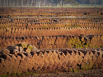 peat, potting soil, no people, nature, day, land, environment HD wallpaper