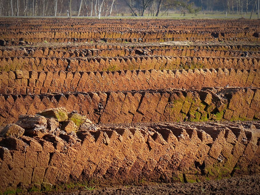 peat, potting soil, no people, nature, day, land, environment HD wallpaper