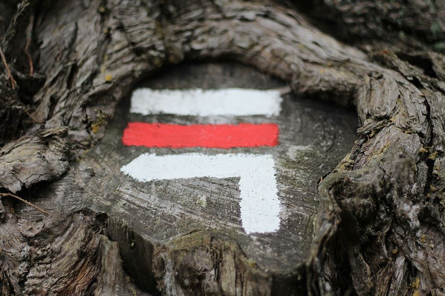 white and red mark on wood, red and white paint, treetrunk, tree stump HD wallpaper