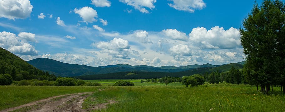 prairie, nature, chifeng, sky, landscape, cloud - sky, environment HD wallpaper