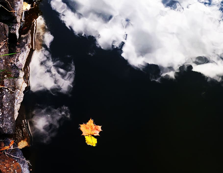 Sheet, Water-Level, Reflection, clouds, white, nature, outdoors HD wallpaper