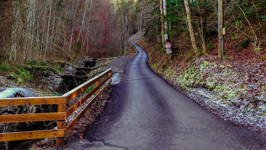 snow, path, peaceful, calm, winter, frost, road, the way forward HD wallpaper