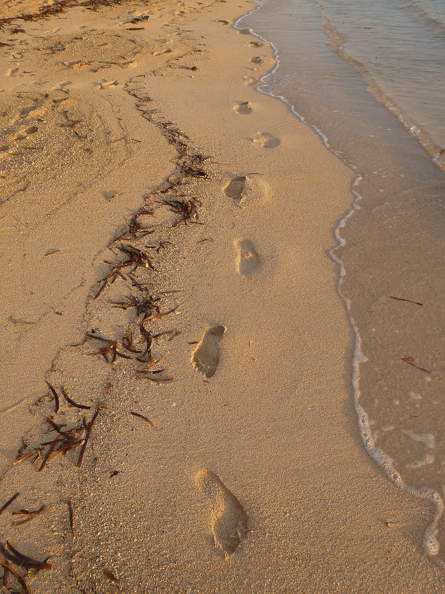 footprints, beach, sea, ocean, sand, barefoot, shore, footstep HD wallpaper