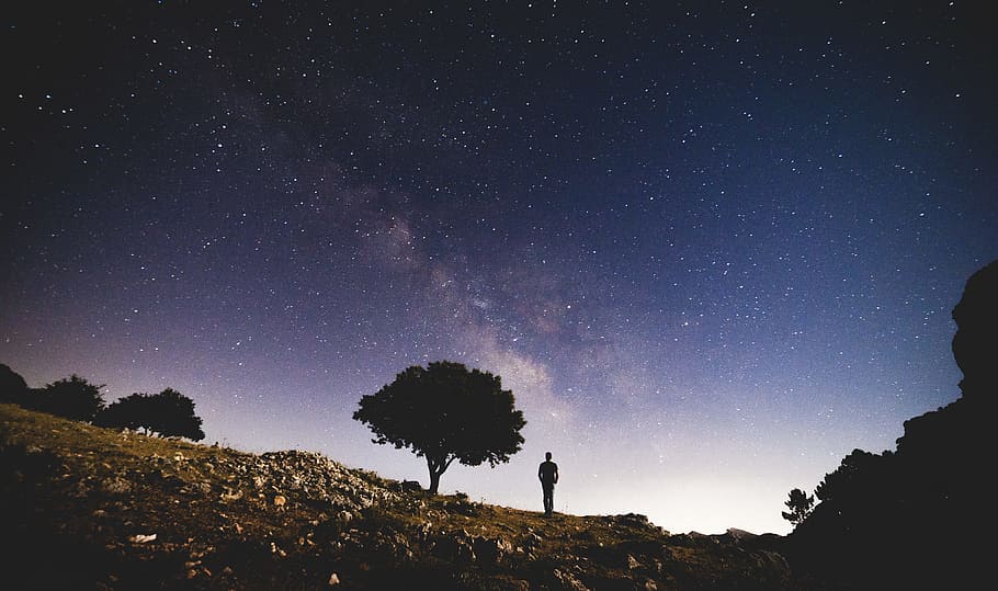 silhouette photo of person standing near trees under white stars, silhouette of man beside tree