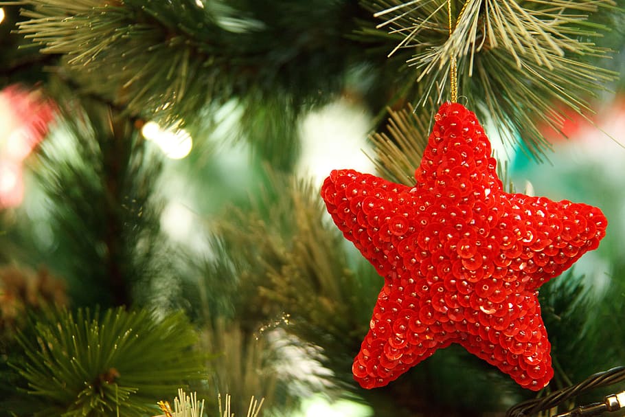 star shape red ornament, branch, celebration, christmas, decor, HD wallpaper