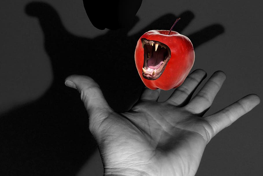 hand, snappy, apple, teeth, uneatable, red, human hand, holding HD wallpaper