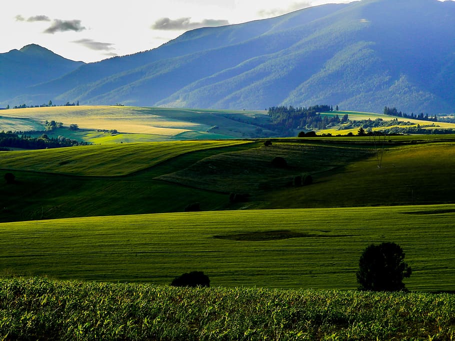 digital wallpaper of green fields, liptov, mountain, sun, sunset HD wallpaper