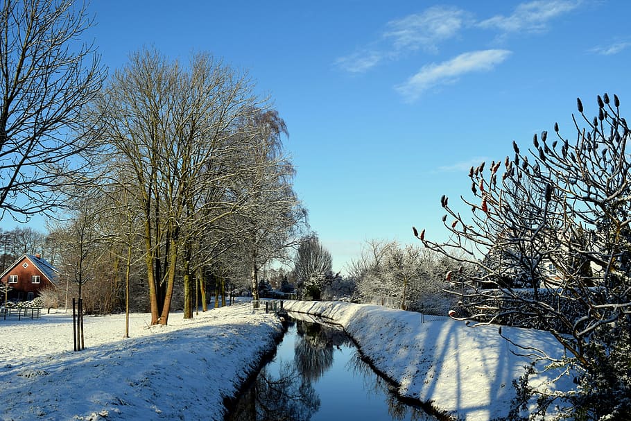 winter, bach, tree, wintry, snow, water running, creek, white HD wallpaper
