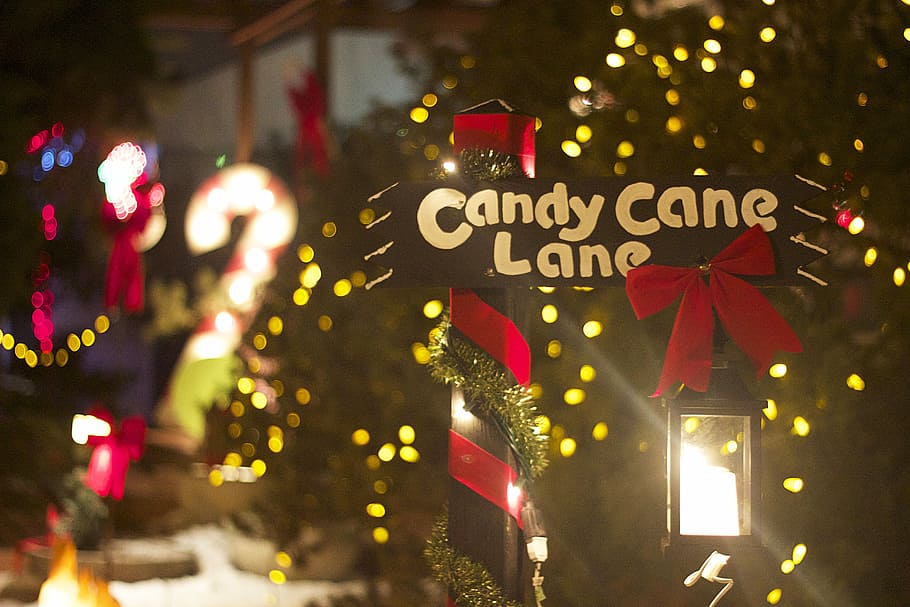 Christmas, Candy Cane, Candy, Cane, decoration, lights, holiday HD wallpaper