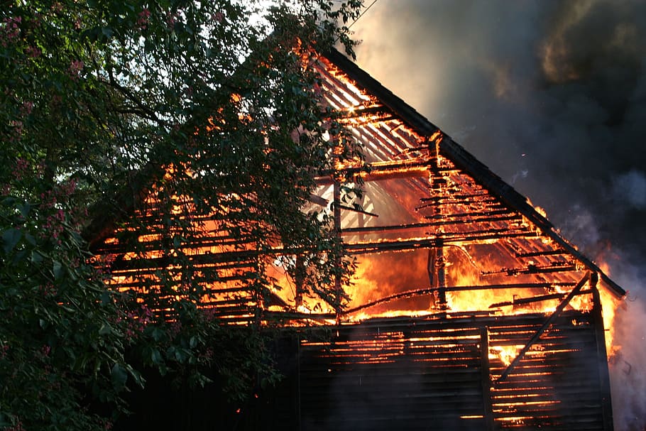 burning house near green leafed tree at daytime, fire, fire fighting HD wallpaper