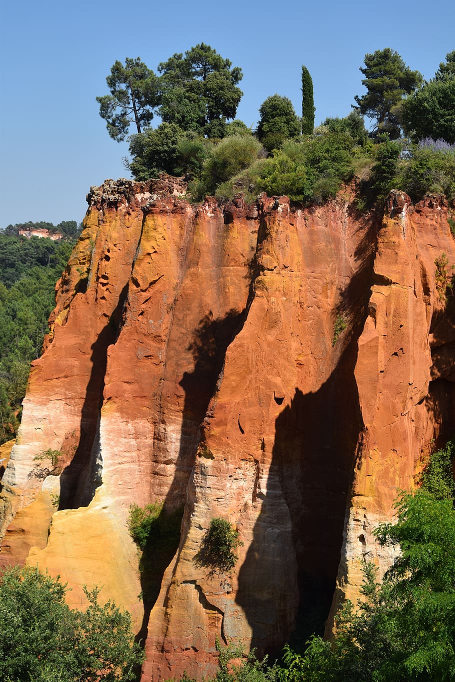 timber, rocks, nature, tree, rock formation, plant, rock - object HD wallpaper