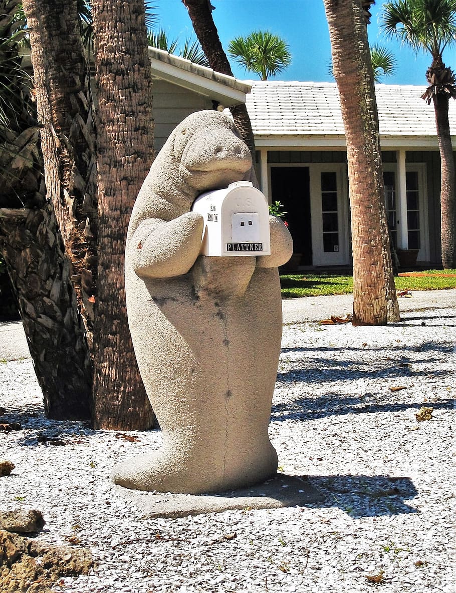 mailbox, florida, manati, manatee, original, typical florida HD wallpaper