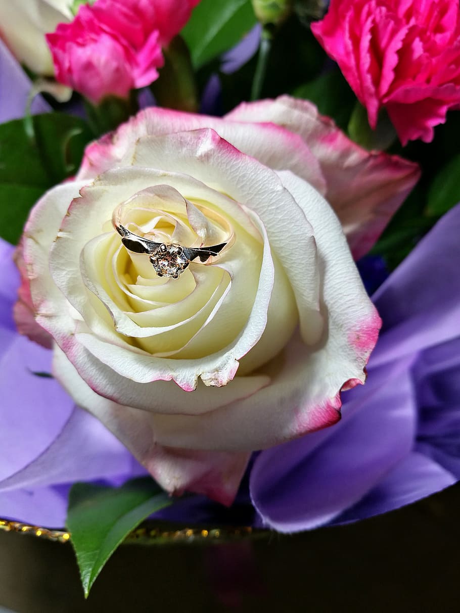 rose, bouquet, ring, bride, wedding, composition, holiday, beautiful HD wallpaper