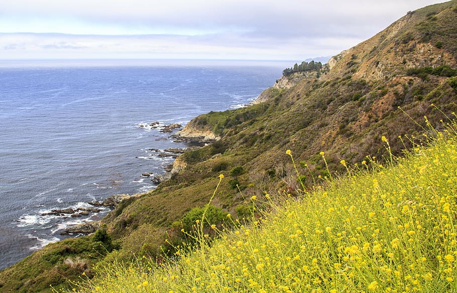california, coast, big sur, pacific, sea, nature, usa, landscape