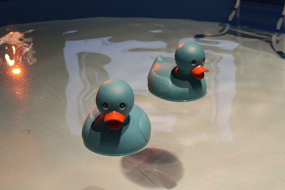 ducky, rubber, bath, toy, cute, play, child, reflection, representation HD wallpaper