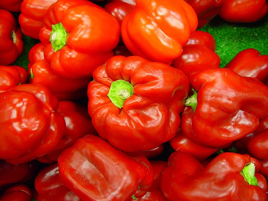 vegetable, capsicum, red, bright, pepper, vegetables, plants HD wallpaper