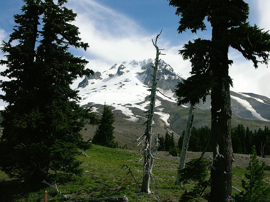 Hd Wallpaper Mt Hood Oregon Wilderness Nature Northwest Pacific