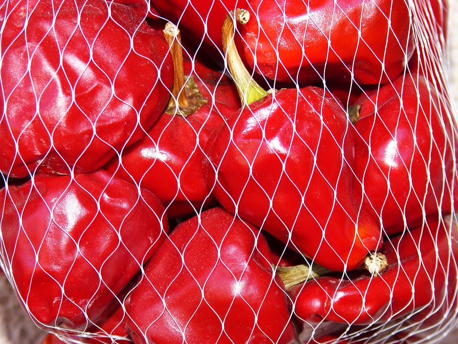 Peppers, Mesh, noras, red, food, vegetable, freshness, tomato HD wallpaper