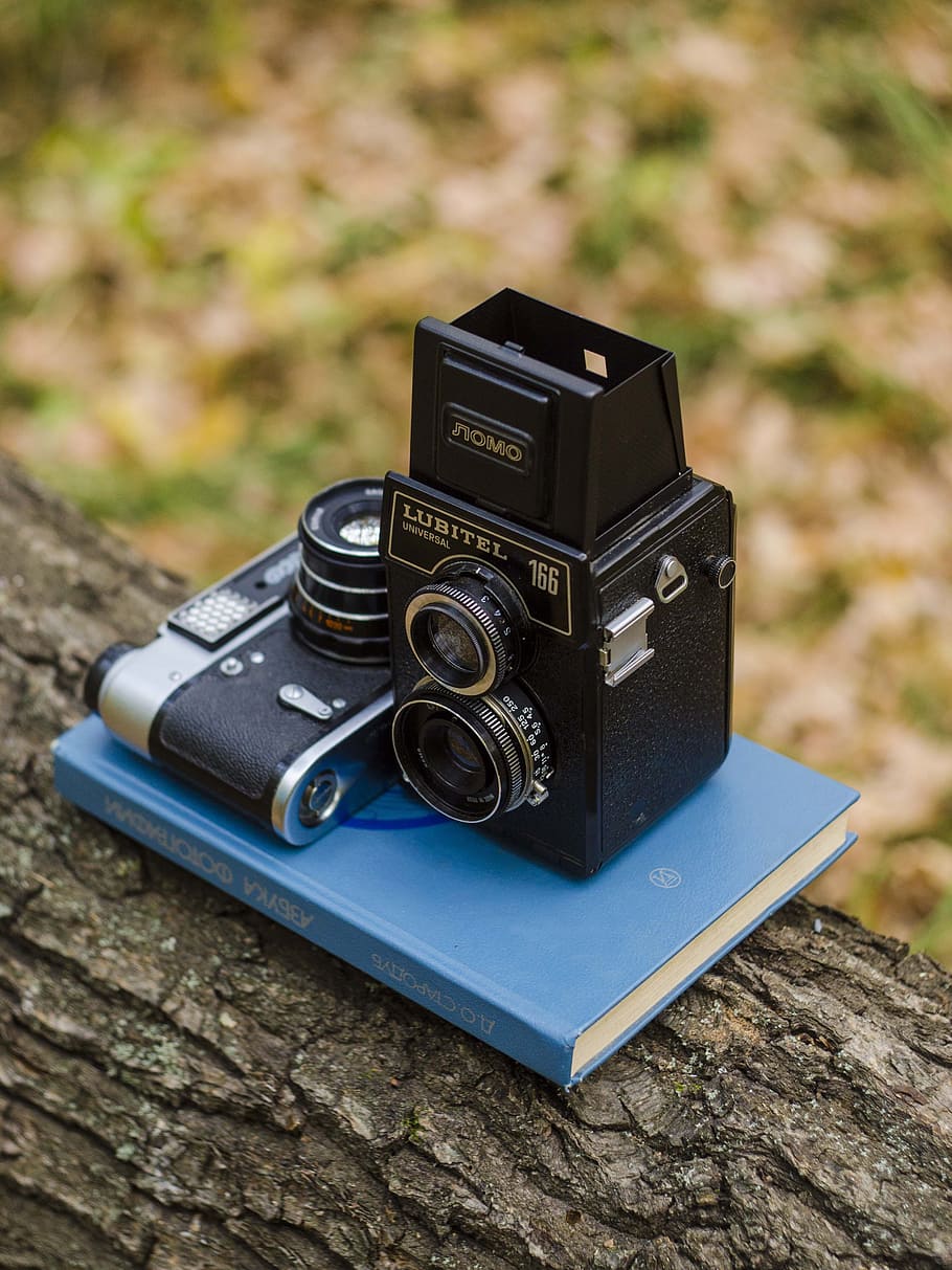 camera, book, tree, exhibit, world map, still life, old camera HD wallpaper