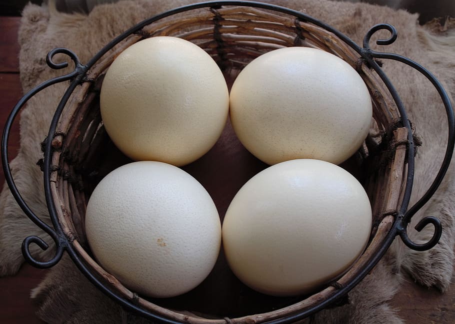 Ostrich Eggs In A Basket