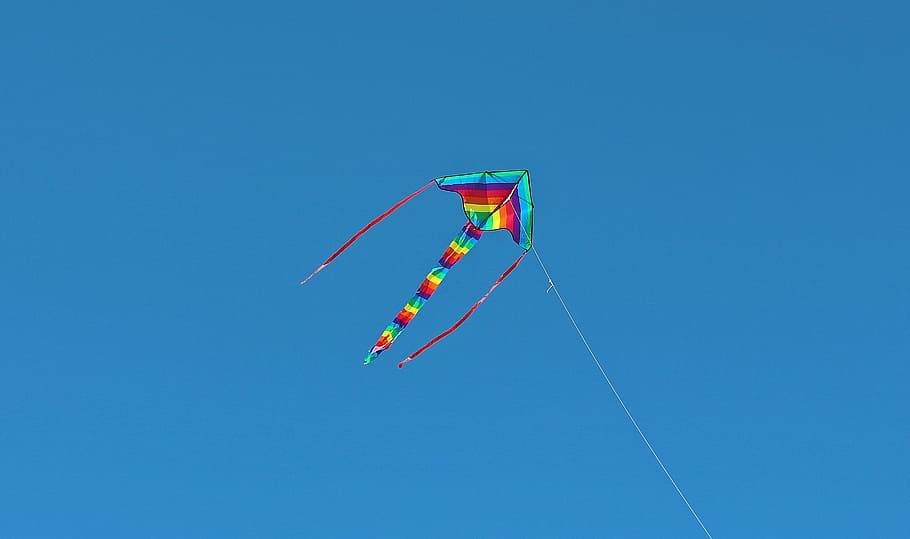 multicolored kite, kites rise, dragons, fly, sky, wind, flying kites, HD wallpaper