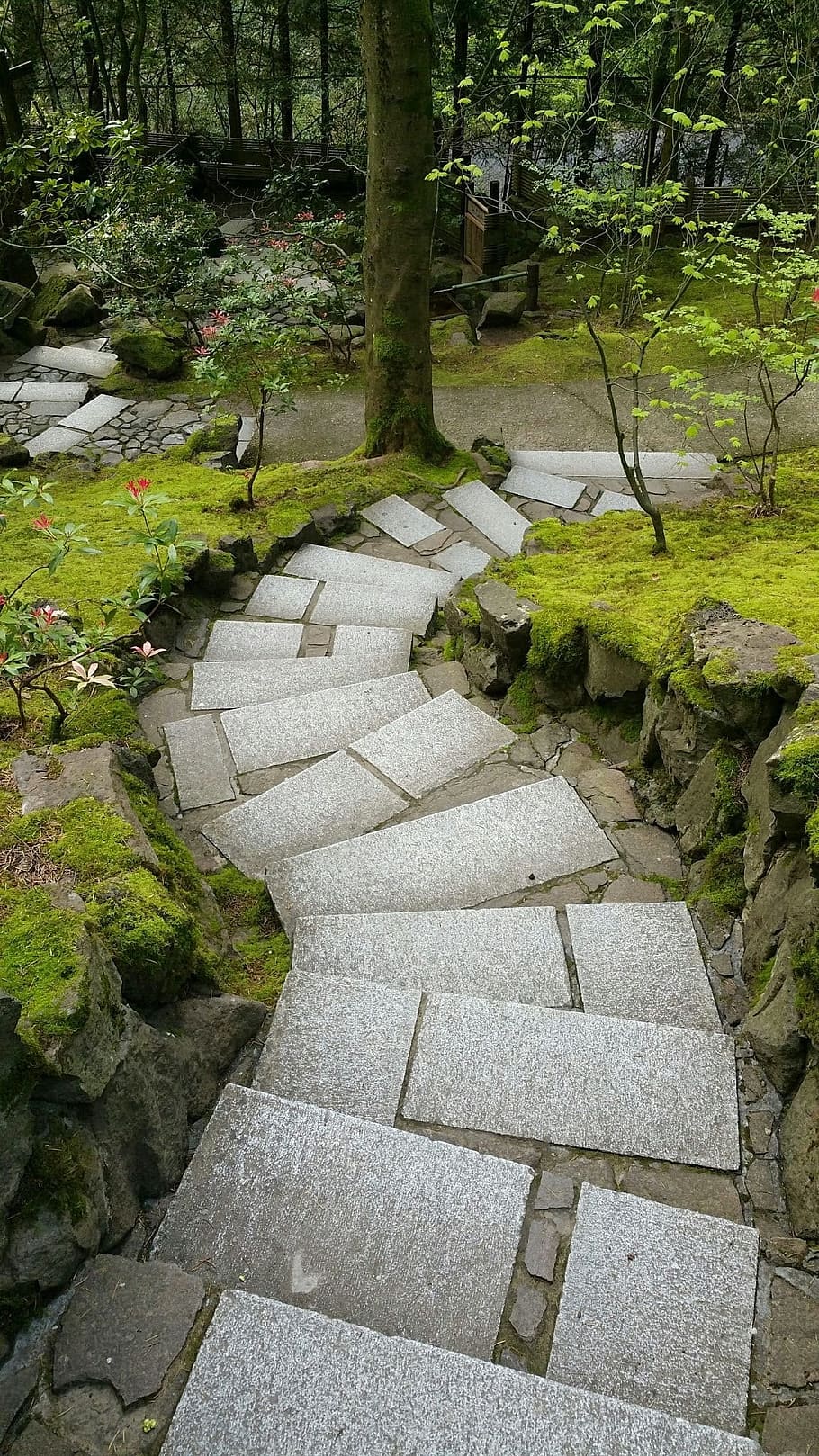 path, japanese garden, portland, walk, zen, meditate, architecture, HD wallpaper