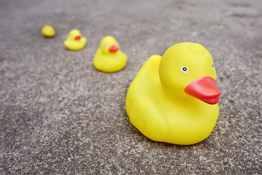four yellow rubber duckies on ground during daytime, objects