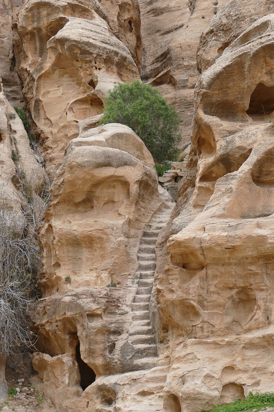 Камни в ущелье. Петра песчанник Petra. Ущелье сик в Петре в Иордании. Иордания каньон. Петра песчаные камни.