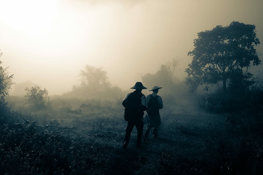 two men walking on forest covered with fog, two person walking near forest covered by fogs HD wallpaper