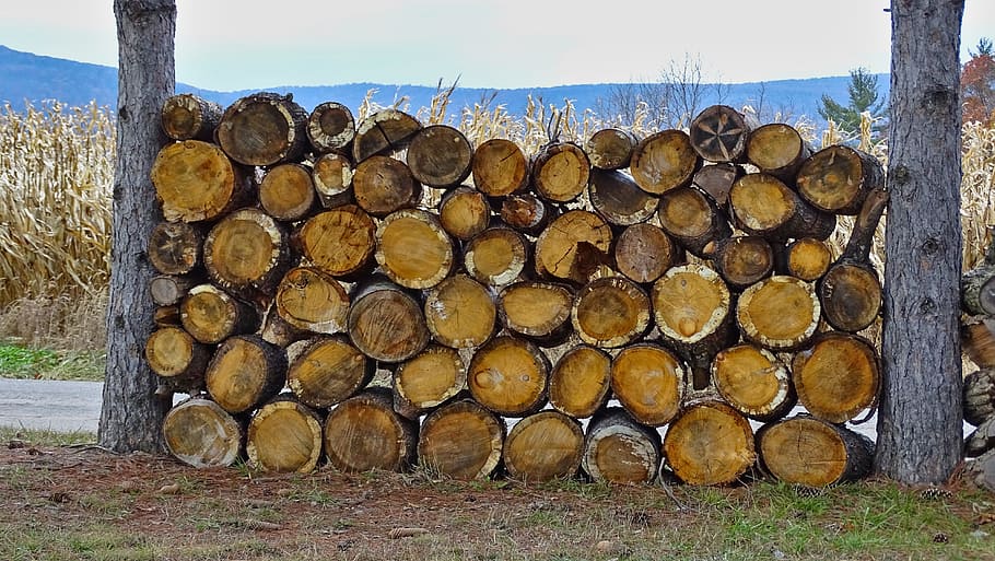 wood, firewood, stack, tree, mountain, winter, pine, fuel, nature HD wallpaper