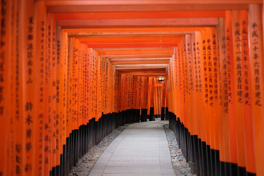 photo of red and black pathway passage, photo of gray pathway between orange walls HD wallpaper