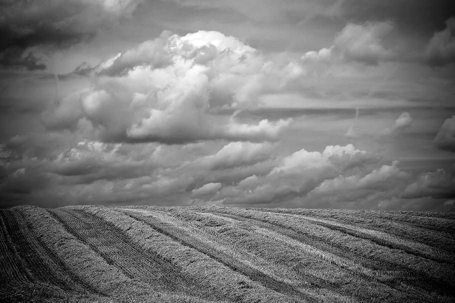 grayscale photo of open field during cloudy daytime, landscape HD wallpaper