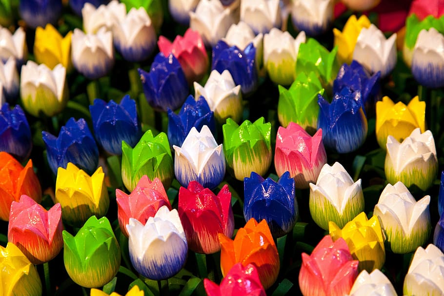 assorted-color artificial flowers, amsterdam, background, close-up HD wallpaper