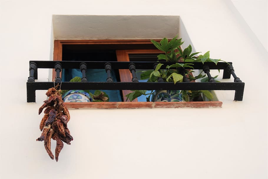 granada, window, andalusia, spain, no people, indoors, plant HD wallpaper