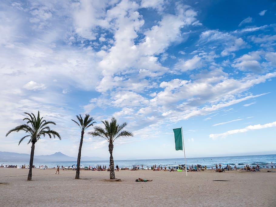 beach, palms, sand, holiday, twilight, sky, exotic, tourism HD wallpaper
