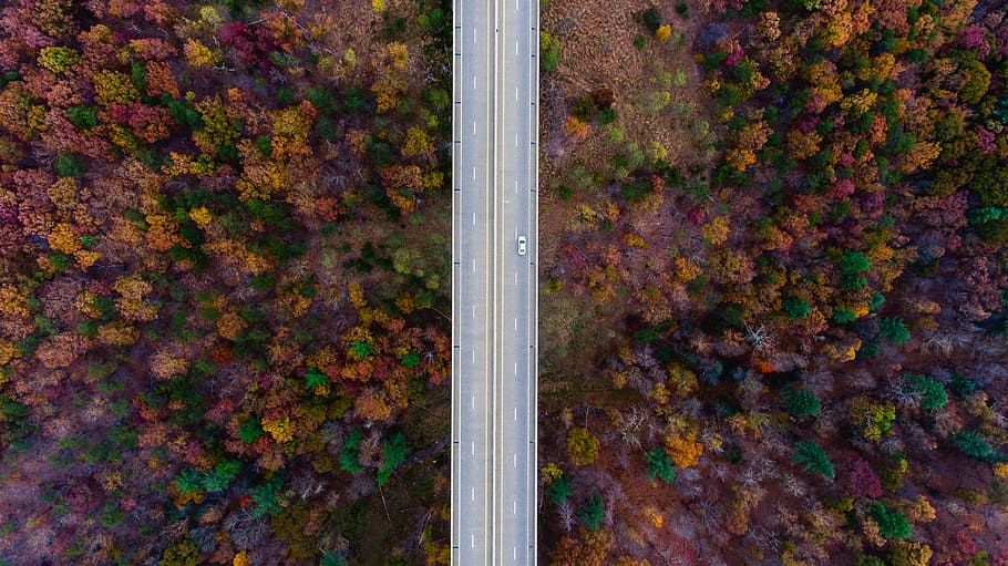 aerial view of gray concrete bridge, gray concrete road surrounding trees HD wallpaper