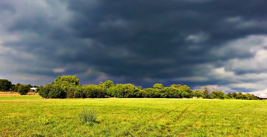 clouds, storm, rain, field, meadow, nature, landscape, view HD wallpaper